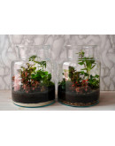 ΒΑΖΟ ΓΥΑΛΙΝΟ ΜΕ ΚΑΠΑΚΙ