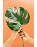 ΠΟΛΥΧΡΗΣΤΙΚΑ ΚΛΙΠΣ | EL RETIRO 